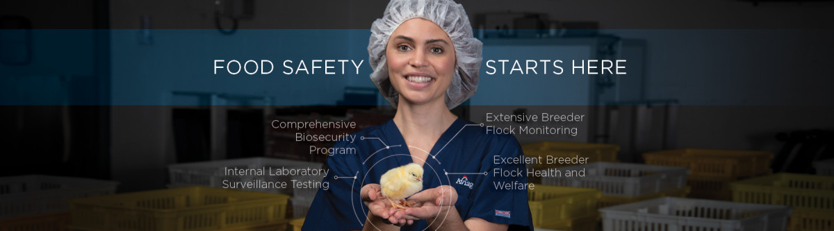 Food Safety Starts Here graphic